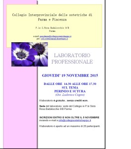 II Edizione Perineo e sutura